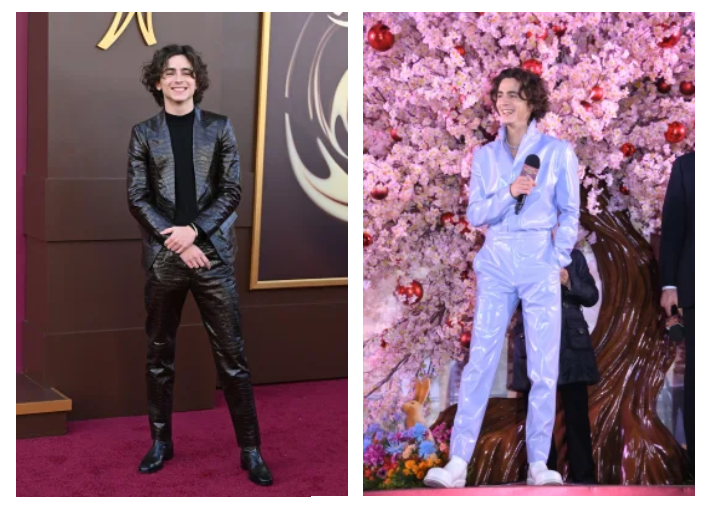 timothee chalamet wears leather for Wonka's premiere